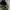 FINDOUT LEOPARD SHERPA JACKET photo 4