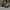 FINDOUT LEOPARD SHERPA JACKET photo 10