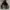 FINDOUT LEOPARD SHERPA JACKET photo 1