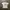 Online cramics t shirt photo 1