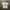 Online Cramics T Shirt