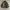 JAPAN JAVA CANVAS WORK JACKET photo 3