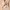 SHEIN Vesra Hollow Out Slit Thigh Cover Up Dress Without Bik photo 2