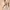 SHEIN Vesra Hollow Out Slit Thigh Cover Up Dress Without Bik