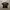 Carhartt K195 BLK