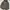  Carhartt Realtree Hoodie photo 1
