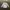 Mooneyes longsleve photo 1