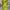 Sexy V Neck Front Chest Twisted Slim Bodycon Dress Women Lon photo 3