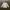 FUGA ARCHIVE LONGSLEVE photo 1