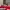 Nike Dunk Low Retro Team Red Legit photo 1