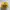MLB Vintage Hat Pria yellow photo 2