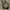 Vintage 60’s Himan Bludru Stripe Jacket photo 1
