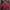Carhartt Active Jacket Sherpa Kids