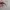 HOODIE KAPPA TAPPED SMALL LOGO photo 5