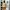 adidas campus x bad bunny photo 4