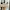 adidas campus x bad bunny photo 2
