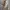 Streetwear Casual Hoody Pria tan khaki photo 4