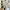 Hoka One One Hopara 2 Sneaker Sandal photo 3