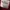 Abercrombie & Fitch Minimalist Kids red photo 3