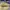 AIR JORDAN 1 LOW  YEARS OF THE DRAGON CELEBRATES LUNAR NEW Y photo 5