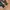 Rubber Green Belt