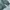Crewneck Patagonia Emerald Green Sweater Pria photo 3