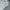 Crewneck Carharrt Grey Basic Sweater Cowok photo 1