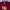 Nike Casual T-shirt Pria burgundy photo 2