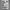 Man’s Search For Meaning By Viktor E. Frankl