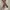 Clride leather cotton belt photo 2