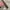 Clride leather cotton belt photo 3