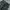 Bootcut grey photo 7