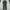 Wearpack Dickies Coverall  photo 4