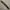 Belt jalin leather brown photo 3
