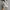 [Termurah]  Salomon XT-6 White Grey photo 1