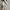 [Termurah]  Salomon XT-6 White Grey photo 5