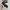 [Termurah] Sneakers - Salomon XA PRO 3D FullBlack photo 6