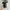 [Termurah] Sneakers - Salomon XA PRO 3D FullBlack photo 5
