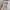[Termurah] Sneakers - Salomon XA PRO 3D Silver Grey  photo 5