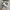 [Termurah] Sneakers - Salomon XA PRO 3D Silver Grey  photo 2