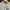 Kaos Bysec Oversize photo 4