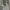 Kaos Bysec Oversize photo 7