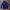 Tracktop Casual Champion Tapped Navy White