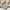 Vintage Hoody Pria tan photo 5