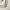 Vintage Fur coat Pria cream photo 3