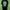 Jersey Wolfsburg 2010/11 photo 2
