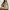 Vintage | Princess Polly Collection