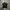Giordano shirts basic black photo 1