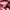 Puma Streetwear Sandals & slide Wanita red photo 6