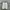 Crewneck Franken Mono